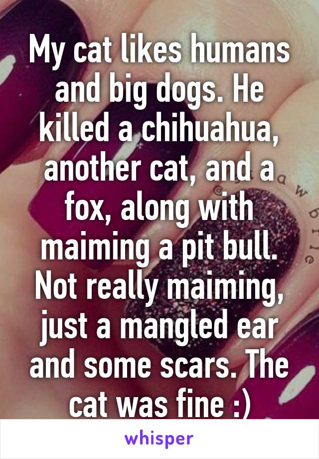 My cat likes humans and big dogs. He killed a chihuahua, another cat, and a fox, along with maiming a pit bull. Not really maiming, just a mangled ear and some scars. The cat was fine :)