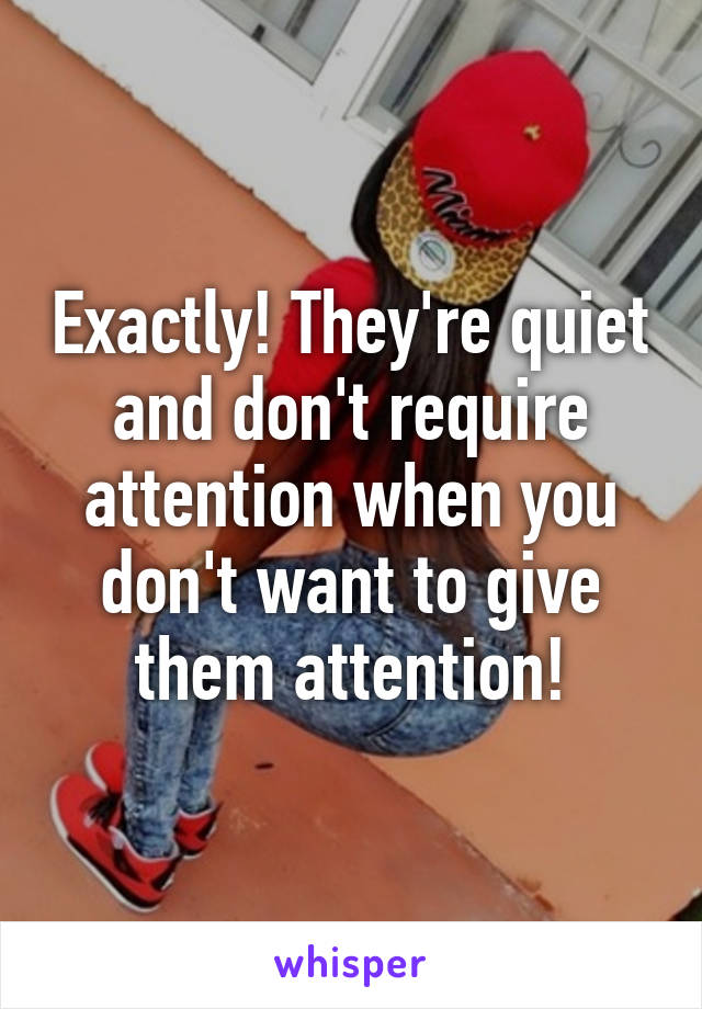 Exactly! They're quiet and don't require attention when you don't want to give them attention!