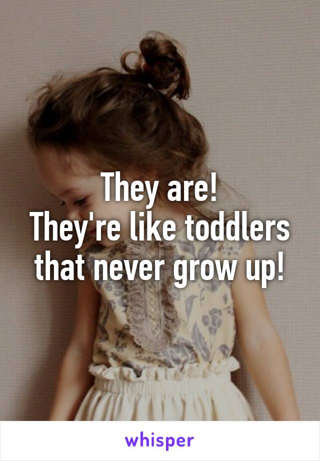 They are!
They're like toddlers
that never grow up!