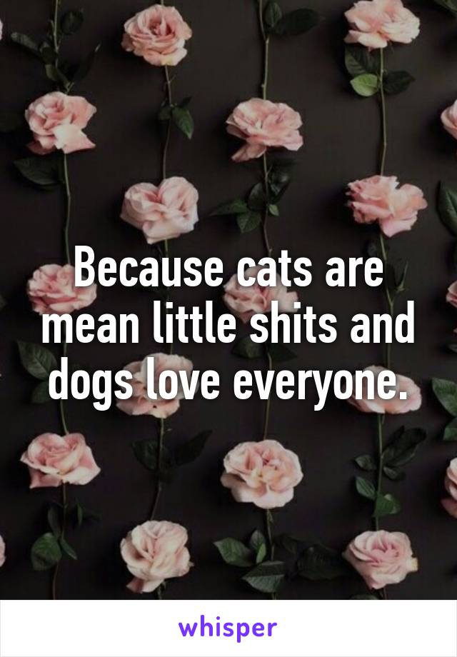 Because cats are mean little shits and dogs love everyone.