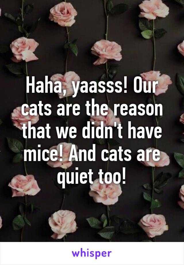 Haha, yaasss! Our cats are the reason that we didn't have mice! And cats are quiet too!