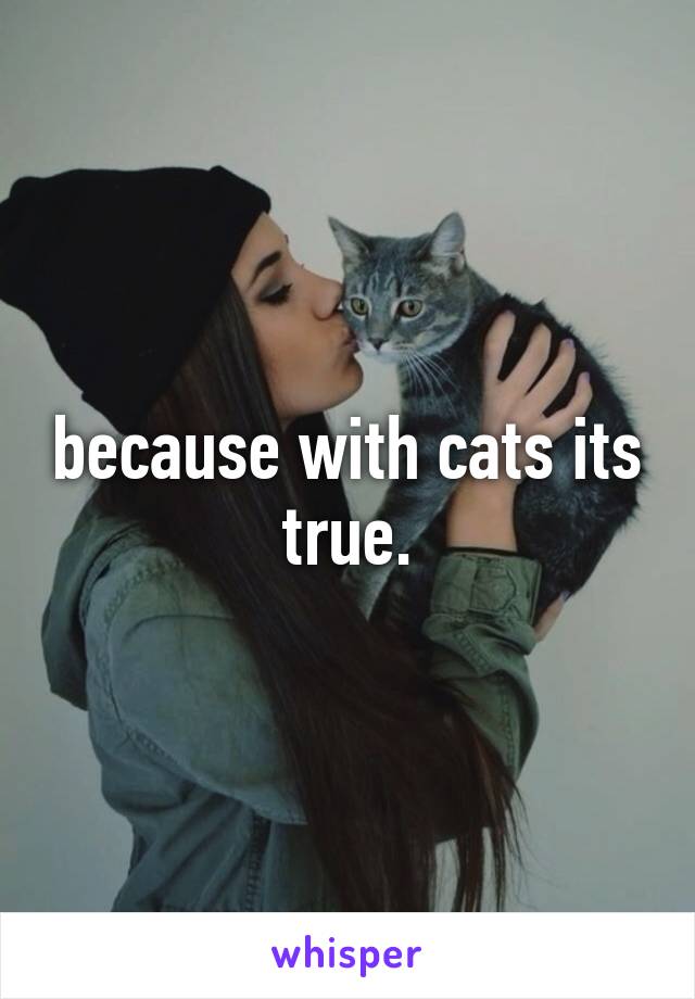 because with cats its true.