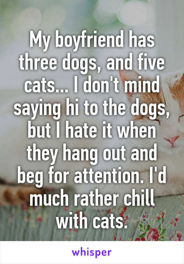 My boyfriend has three dogs, and five cats... I don't mind saying hi to the dogs, but I hate it when they hang out and beg for attention. I'd much rather chill with cats.