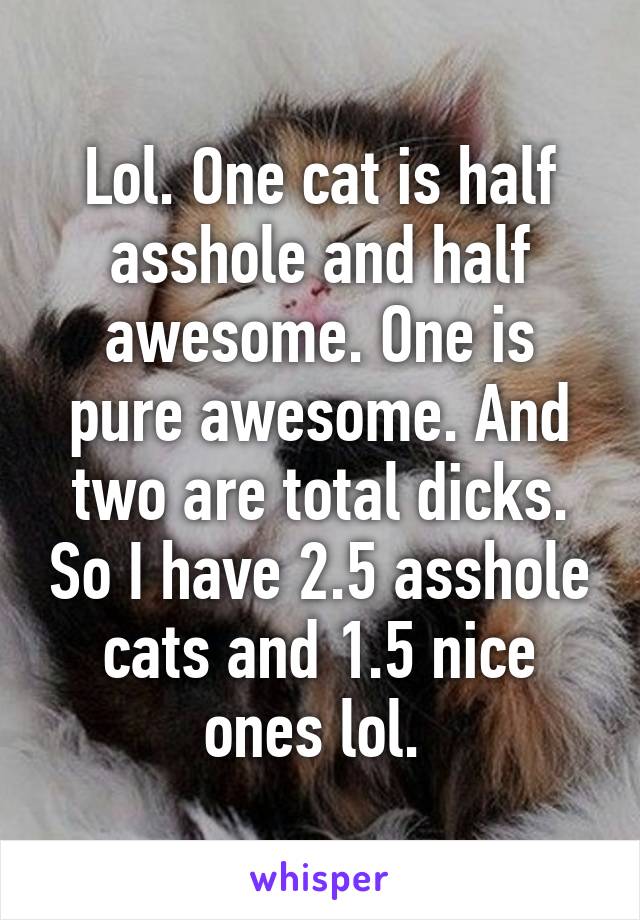 Lol. One cat is half asshole and half awesome. One is pure awesome. And two are total dicks. So I have 2.5 asshole cats and 1.5 nice ones lol. 