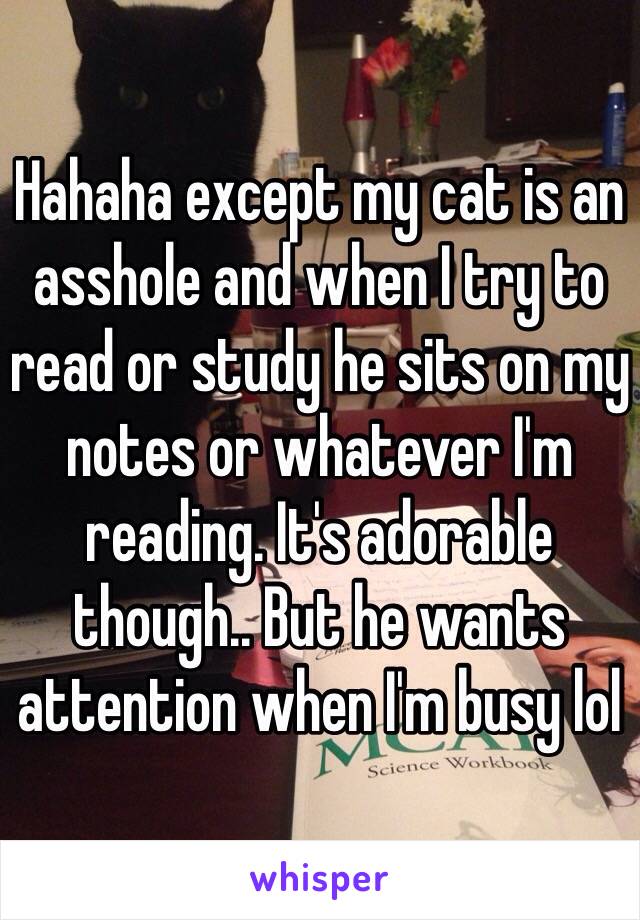 Hahaha except my cat is an asshole and when I try to read or study he sits on my notes or whatever I'm reading. It's adorable though.. But he wants attention when I'm busy lol