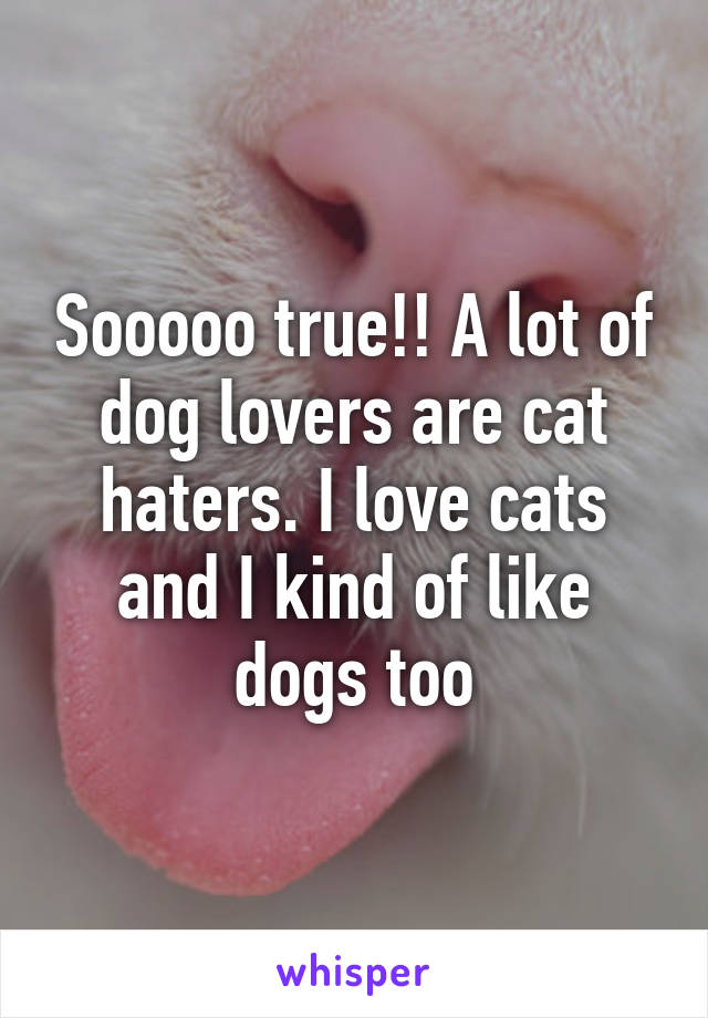 Sooooo true!! A lot of dog lovers are cat haters. I love cats and I kind of like dogs too