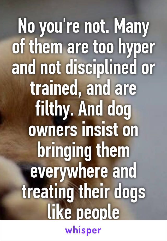 No you're not. Many of them are too hyper and not disciplined or trained, and are filthy. And dog owners insist on bringing them everywhere and treating their dogs like people