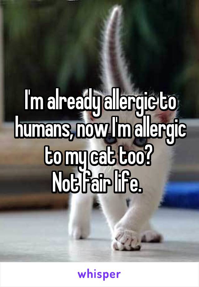 I'm already allergic to humans, now I'm allergic to my cat too? 
Not fair life.  