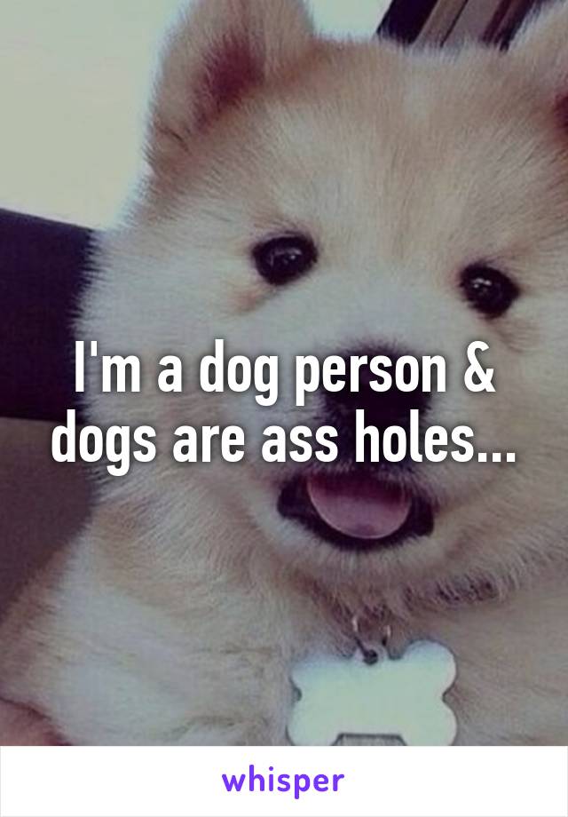 I'm a dog person & dogs are ass holes...