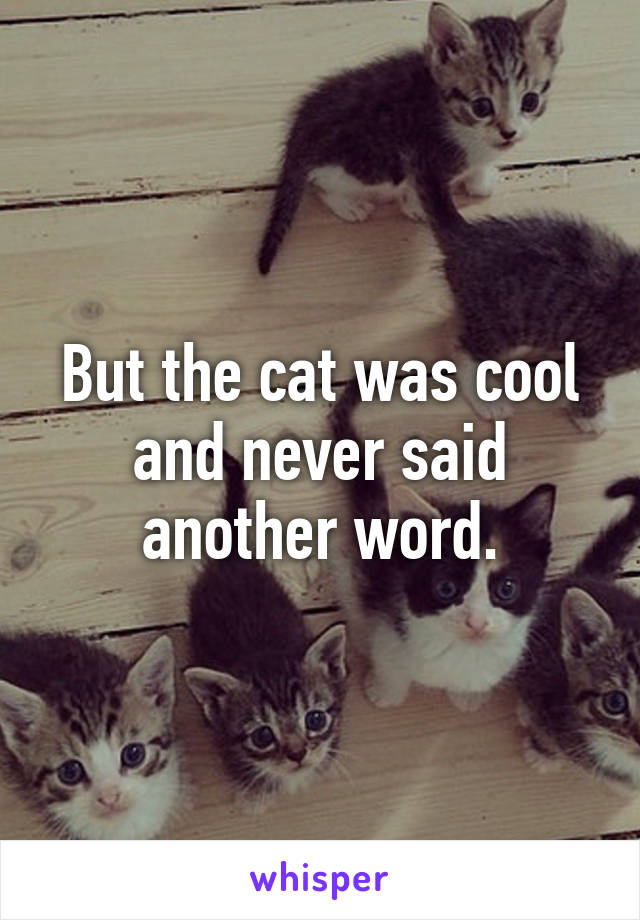 But the cat was cool and never said another word.