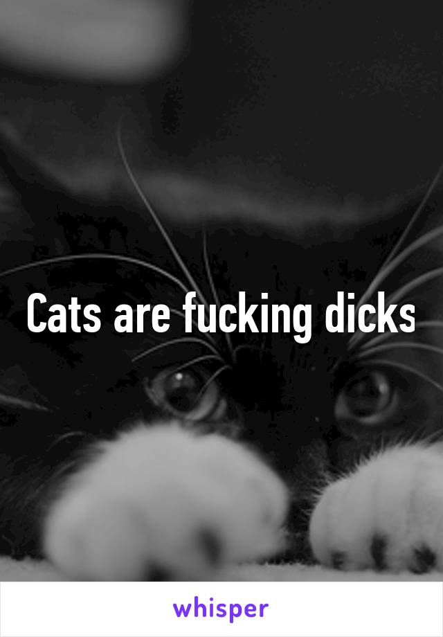 Cats are fucking dicks