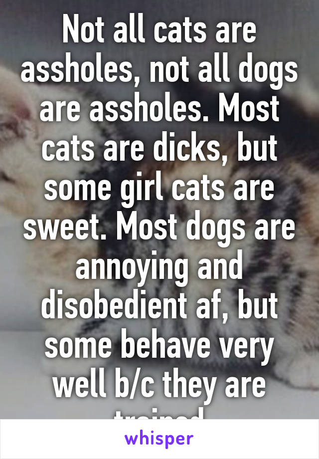 Not all cats are assholes, not all dogs are assholes. Most cats are dicks, but some girl cats are sweet. Most dogs are annoying and disobedient af, but some behave very well b/c they are trained