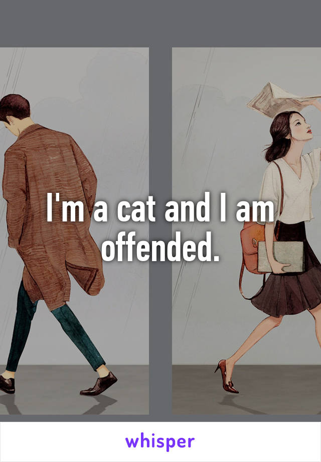 I'm a cat and I am offended.