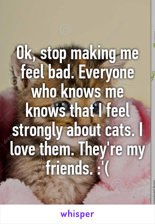 Ok, stop making me feel bad. Everyone who knows me knows that I feel strongly about cats. I love them. They're my friends. :'(