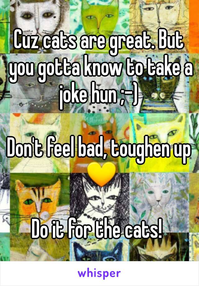 Cuz cats are great. But you gotta know to take a joke hun ;-) 

Don't feel bad, toughen up 💛

Do it for the cats! 