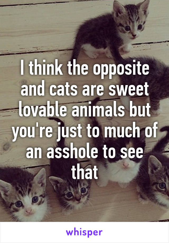 I think the opposite and cats are sweet lovable animals but you're just to much of an asshole to see that