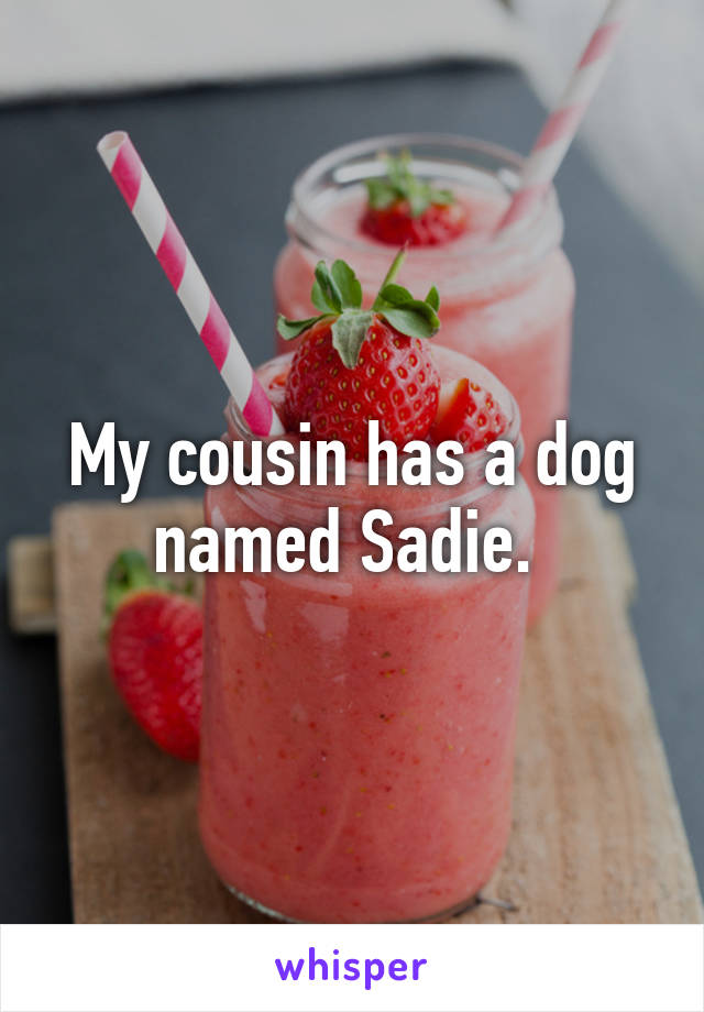 My cousin has a dog named Sadie. 