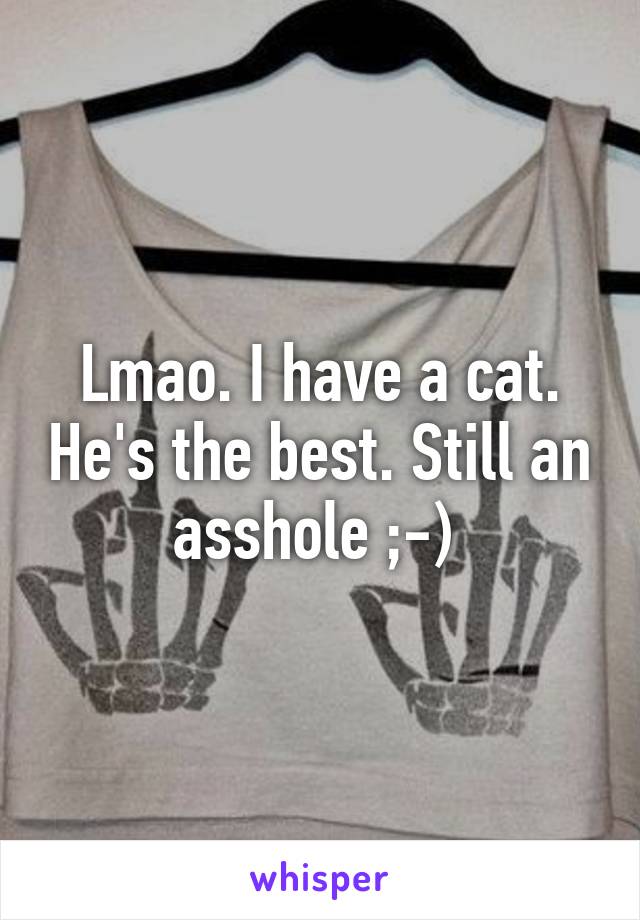 Lmao. I have a cat. He's the best. Still an asshole ;-) 