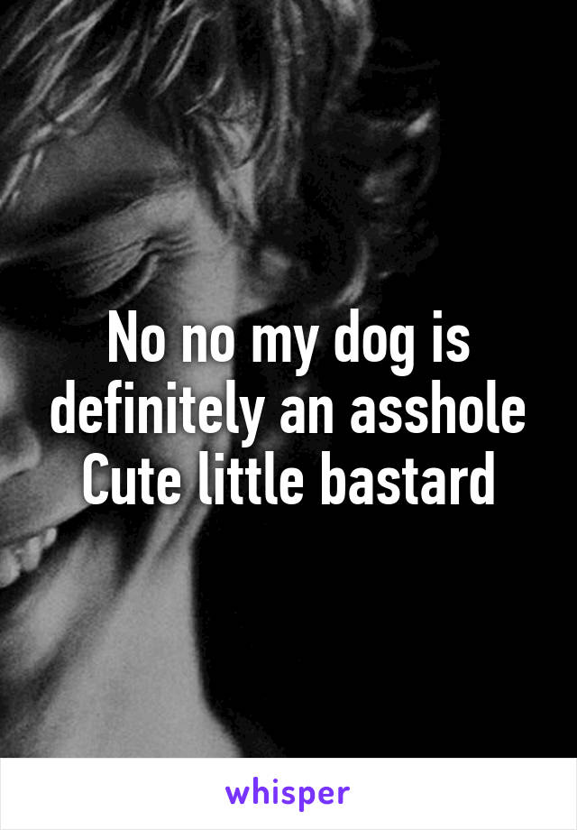 No no my dog is definitely an asshole
Cute little bastard