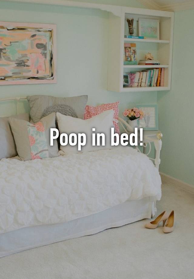 poop-in-bed