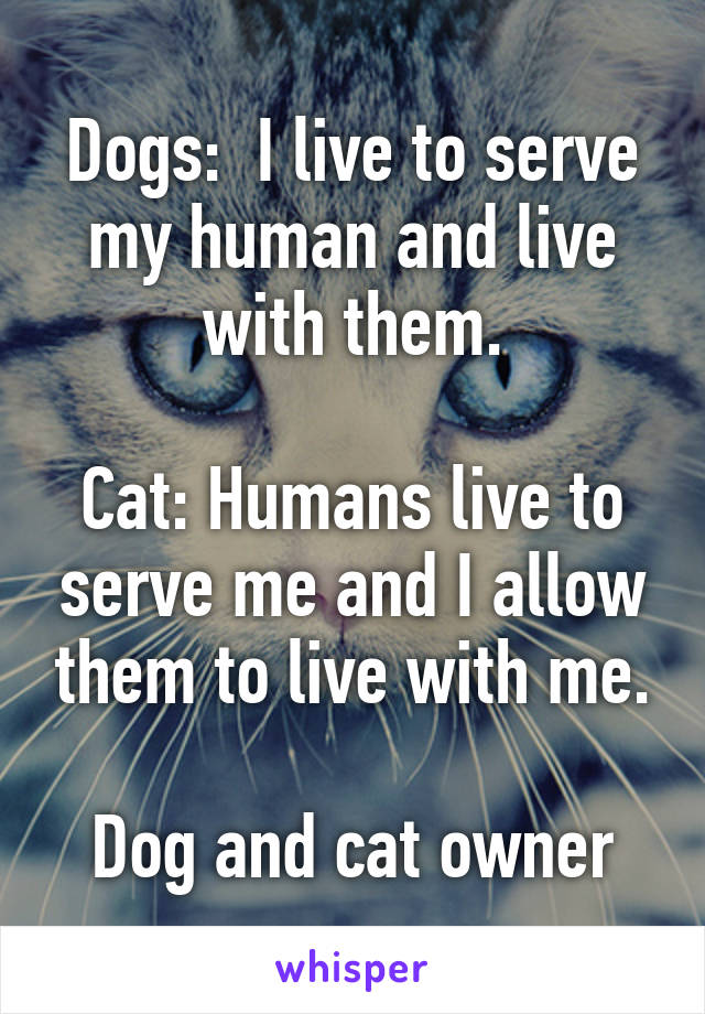 Dogs:  I live to serve my human and live with them.

Cat: Humans live to serve me and I allow them to live with me.

Dog and cat owner