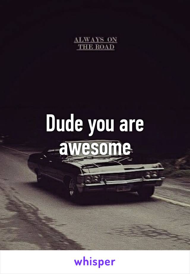 Dude you are awesome