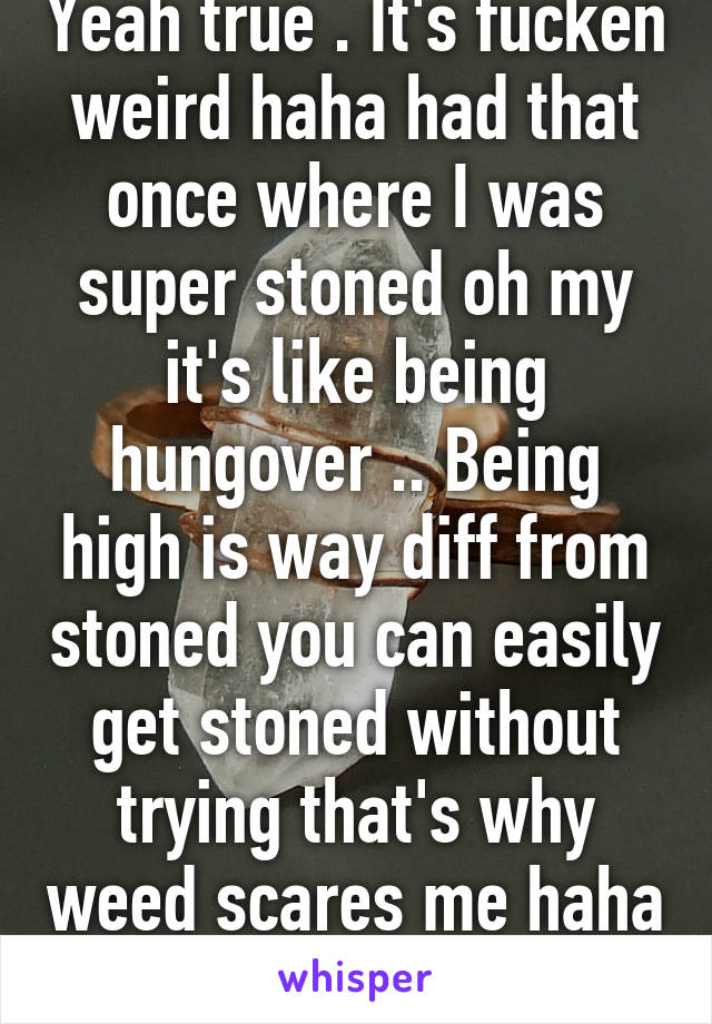 Yeah true . It's fucken weird haha had that once where I was super stoned oh my it's like being hungover .. Being high is way diff from stoned you can easily get stoned without trying that's why weed scares me haha 