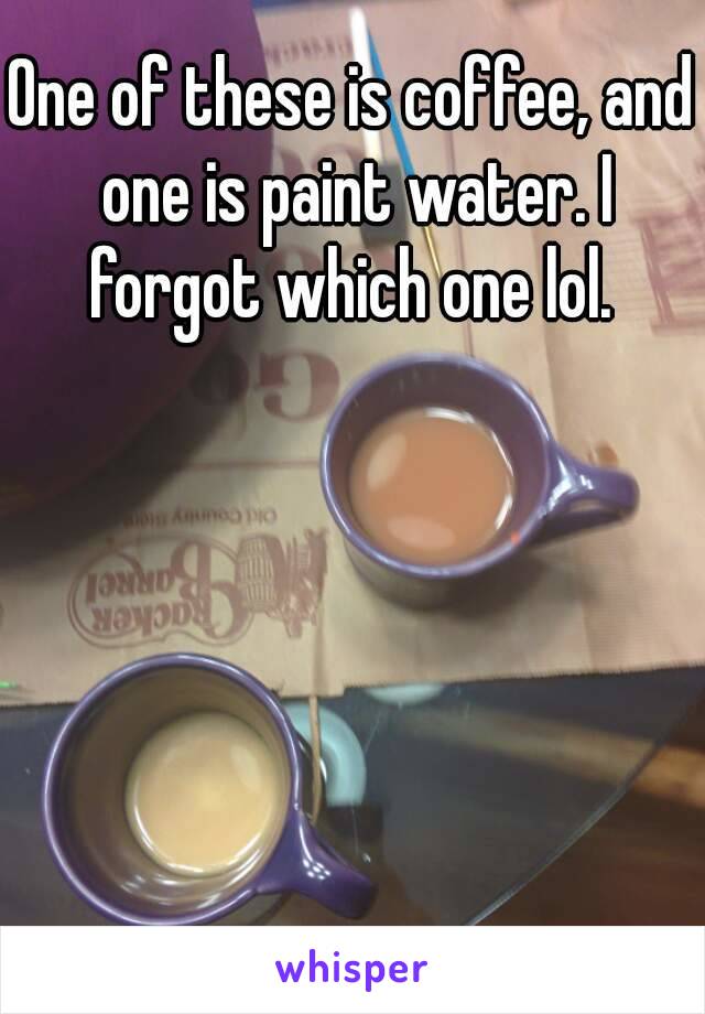 One of these is coffee, and one is paint water. I forgot which one lol. 