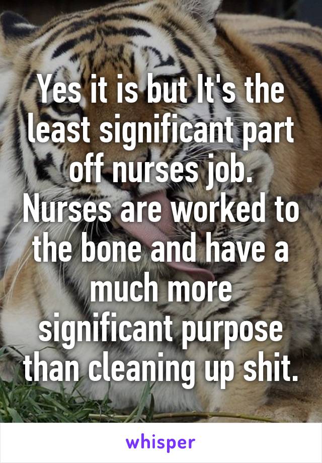 Yes it is but It's the least significant part off nurses job. Nurses are worked to the bone and have a much more significant purpose than cleaning up shit.