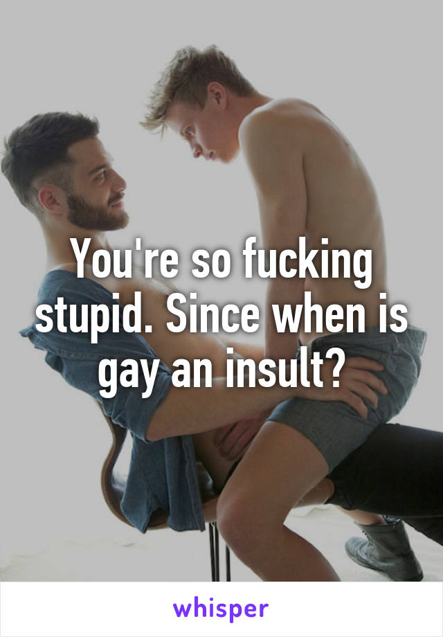 You're so fucking stupid. Since when is gay an insult?