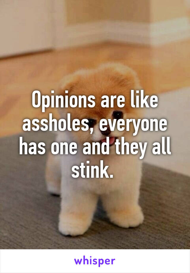 Opinions are like assholes, everyone has one and they all stink. 