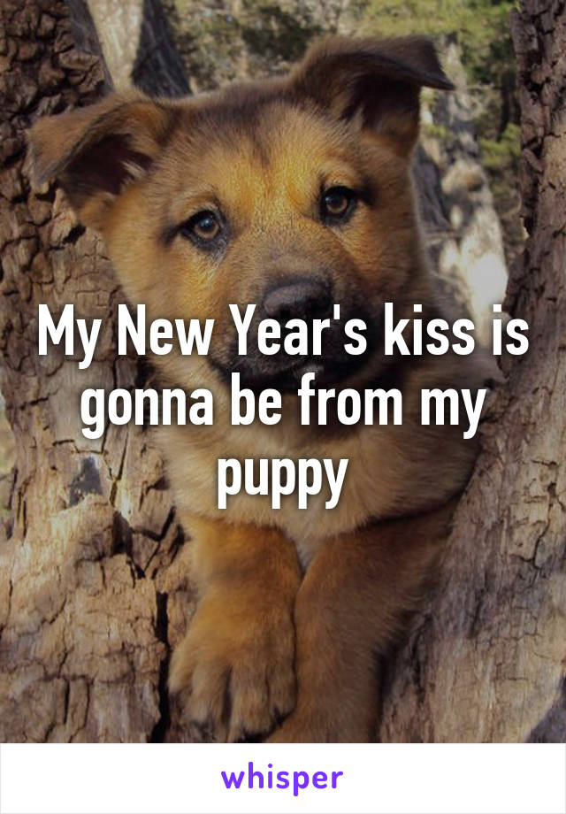 My New Year's kiss is gonna be from my puppy