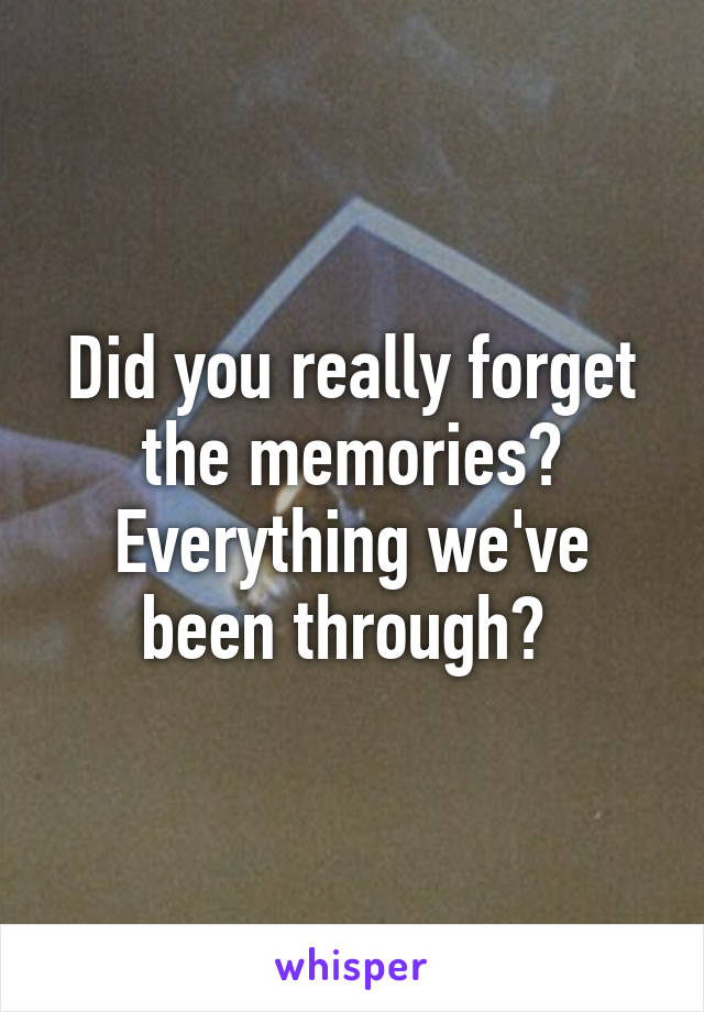 Did you really forget the memories? Everything we've been through? 