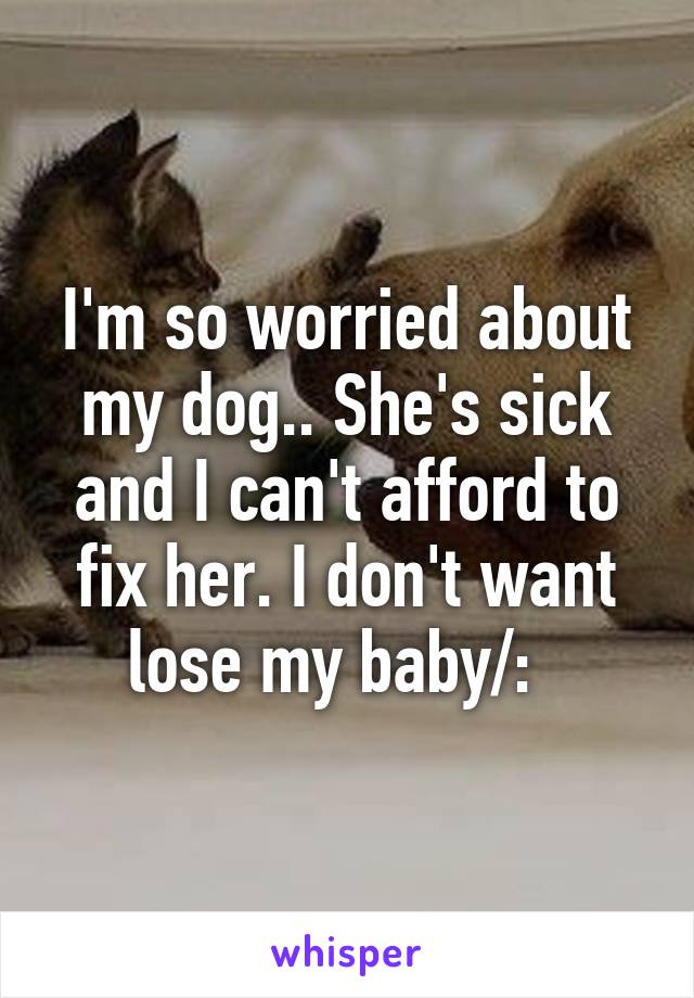 I'm so worried about my dog.. She's sick and I can't afford to fix her. I don't want lose my baby/:  