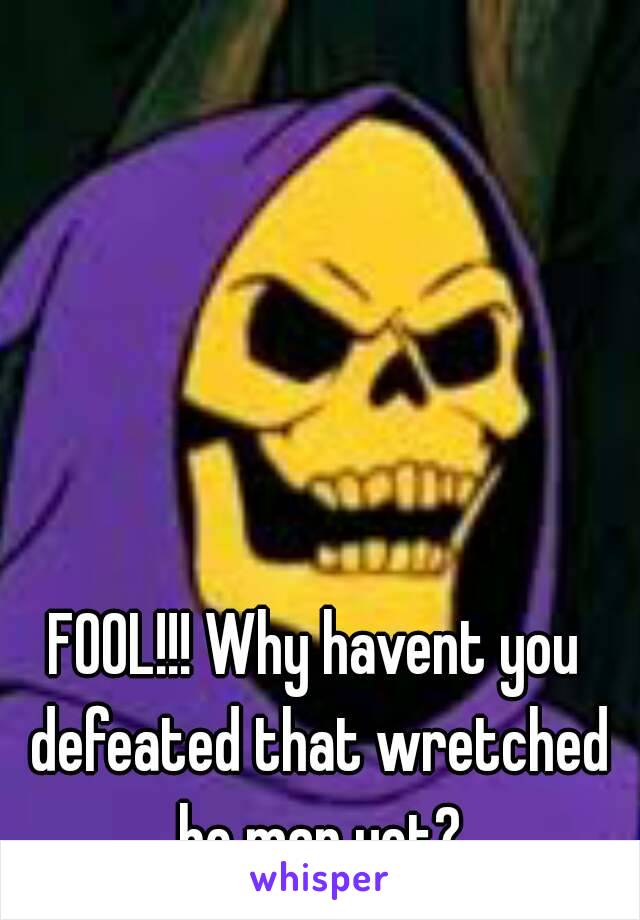 FOOL!!! Why havent you defeated that wretched he man yet?