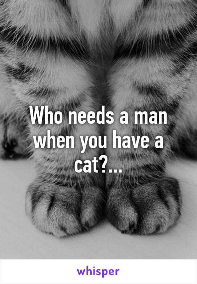 Who needs a man when you have a cat?...