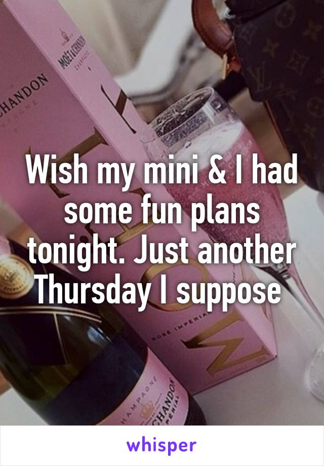 Wish my mini & I had some fun plans tonight. Just another Thursday I suppose 