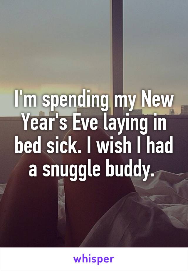 I'm spending my New Year's Eve laying in bed sick. I wish I had a snuggle buddy. 