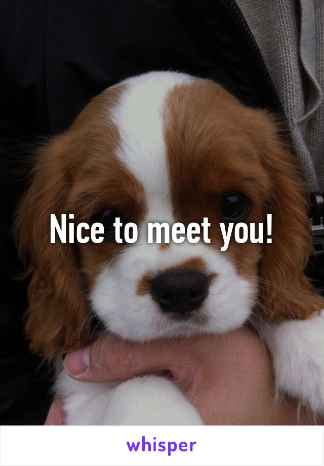 Nice to meet you!