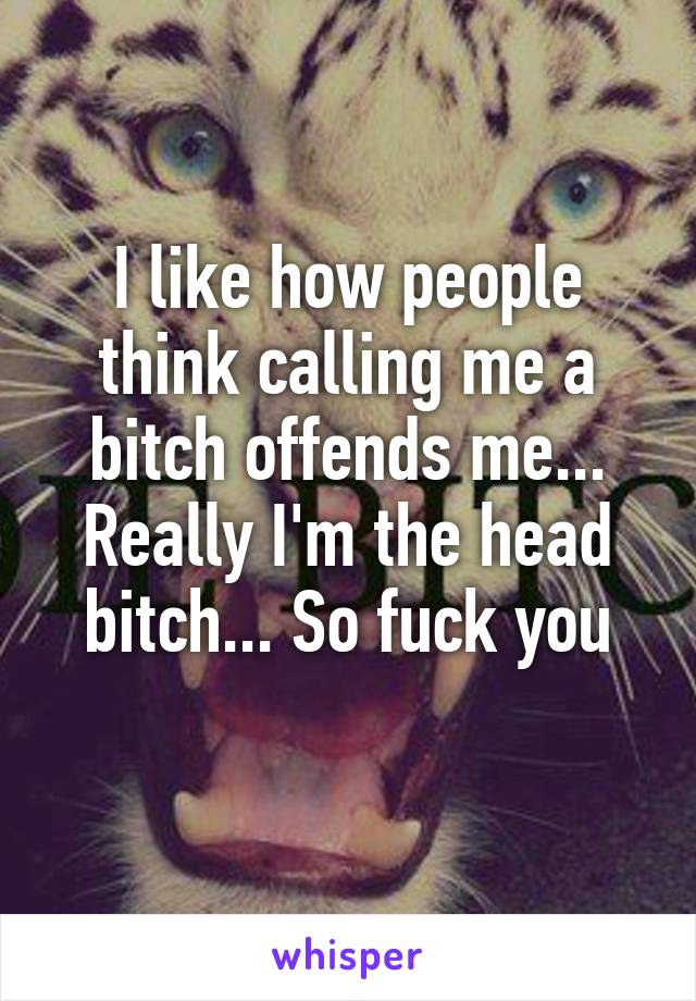 I like how people think calling me a bitch offends me... Really I'm the head bitch... So fuck you
