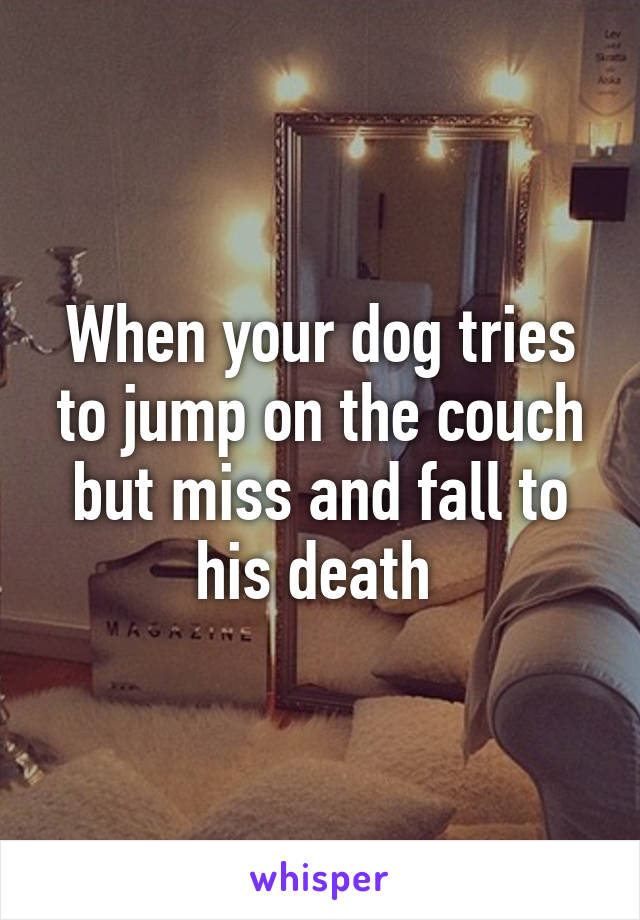 When your dog tries to jump on the couch but miss and fall to his death 