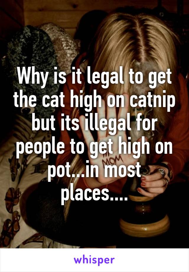 Why is it legal to get the cat high on catnip but its illegal for people to get high on pot...in most places....