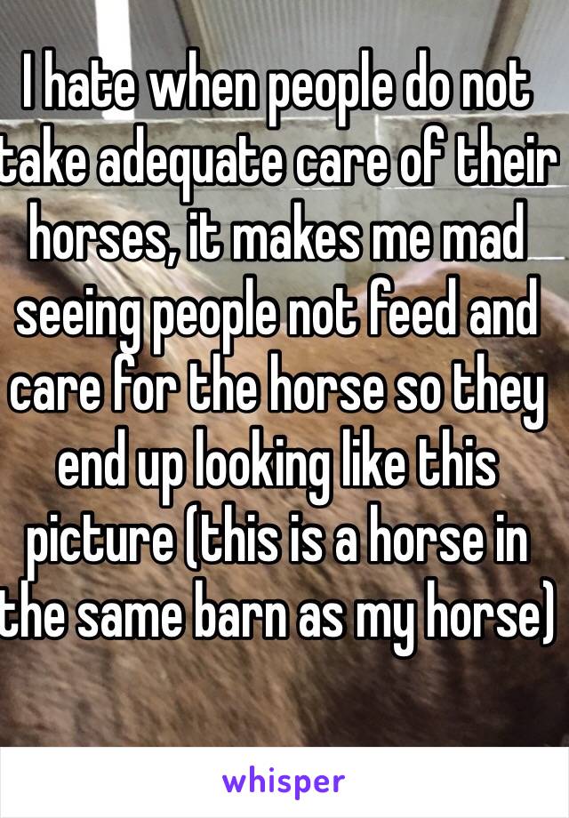 I hate when people do not take adequate care of their horses, it makes me mad seeing people not feed and care for the horse so they end up looking like this picture (this is a horse in the same barn as my horse)