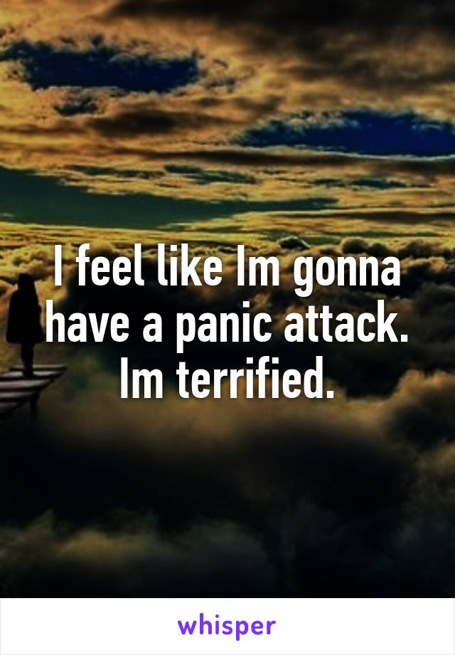 I feel like Im gonna have a panic attack. Im terrified.