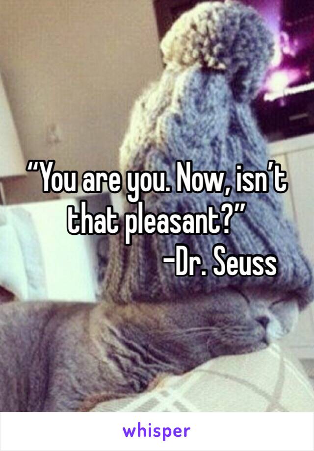 “You are you. Now, isn’t that pleasant?”
                     -Dr. Seuss