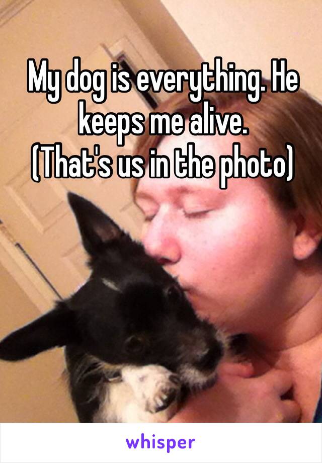 My dog is everything. He keeps me alive.
(That's us in the photo)