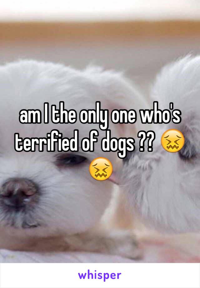 am I the only one who's terrified of dogs ?? 😖😖 