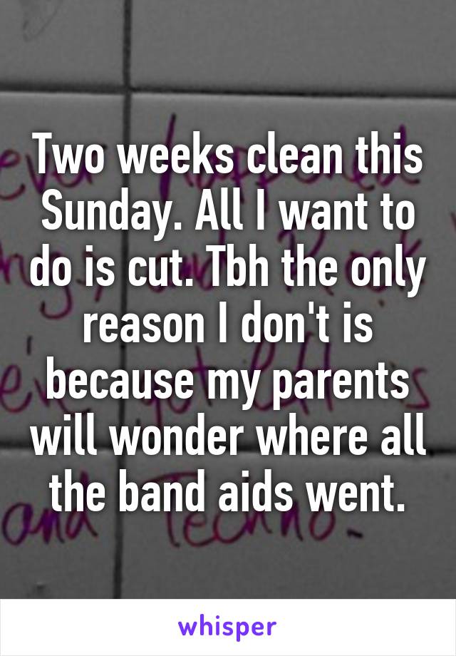 Two weeks clean this Sunday. All I want to do is cut. Tbh the only reason I don't is because my parents will wonder where all the band aids went.