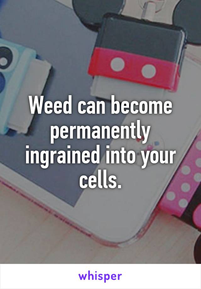 Weed can become permanently ingrained into your cells.