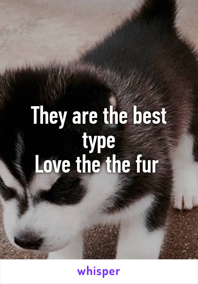 They are the best type
Love the the fur 